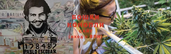 винт Аркадак